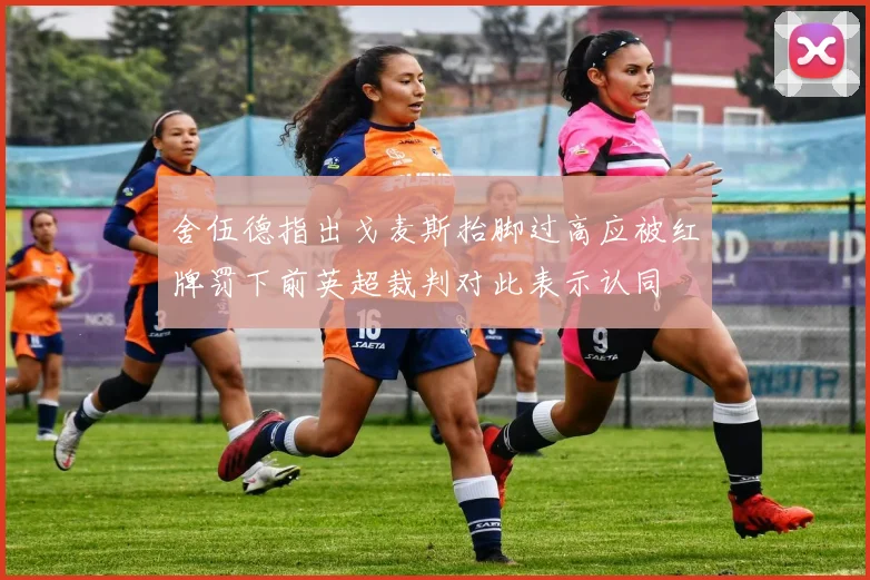 舍伍德指出戈麦斯抬脚过高应被红牌罚下前英超裁判对此表示认同