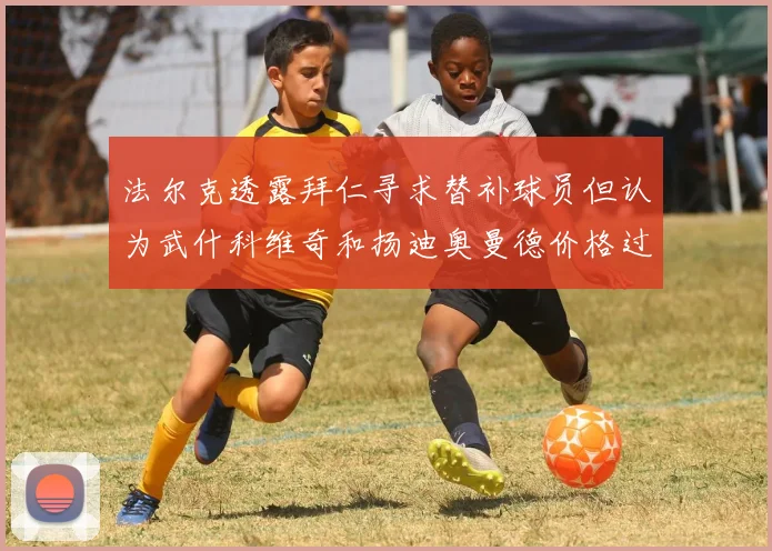 法尔克透露拜仁寻求替补球员但认为武什科维奇和扬迪奥曼德价格过高