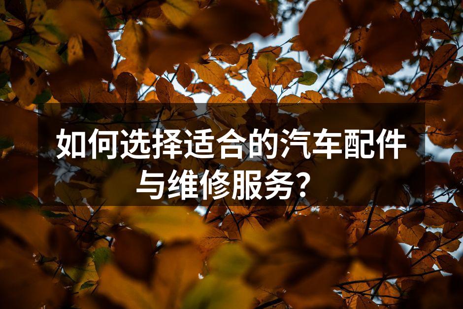 汽车配件种类繁多