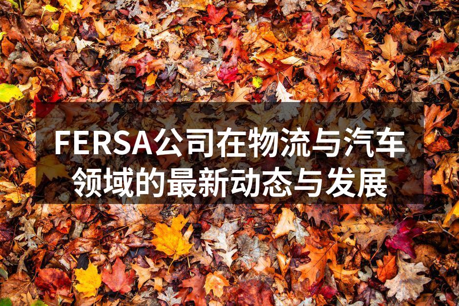 FERSA新研发的智能制造系统