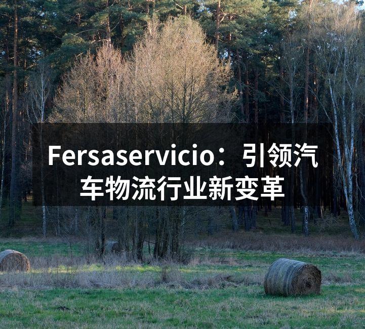 Fersaservicio团队全力以赴